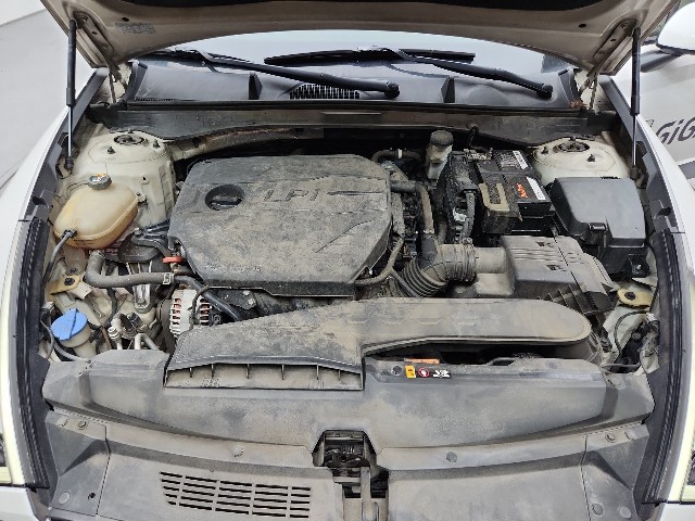 lotterental_104123492_3XBfA_6.jpg
