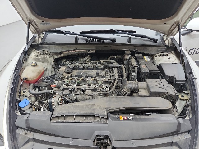 lotterental_104433984_7bzTA_8.jpg
