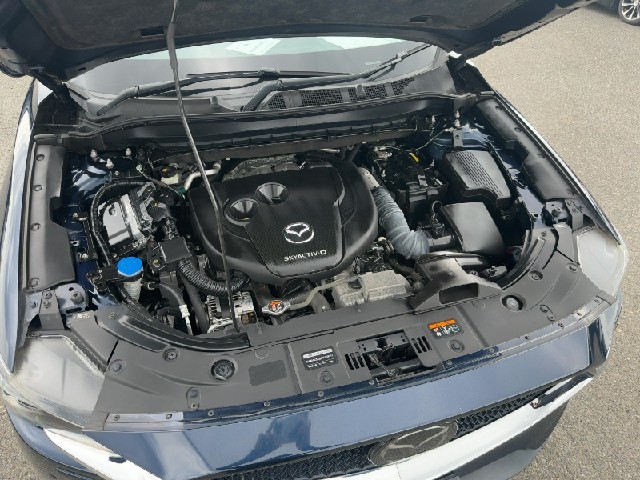 f44065e1a114661dcc6890d75f0e7433.jpeg