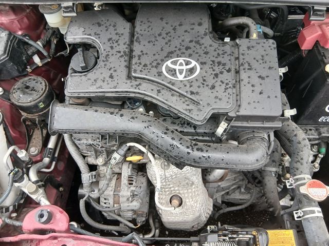 08.jpg