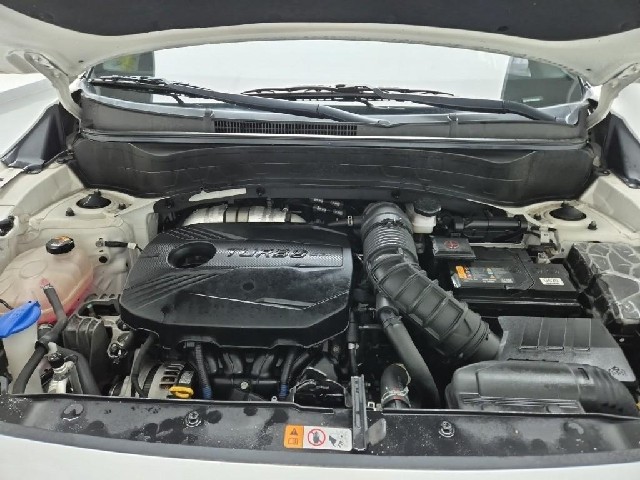 6041001624R5.jpg