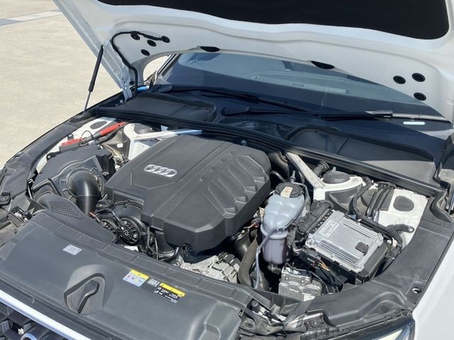 c13645e7021ee08f5049e28456d23969.jpg