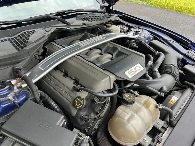 fd67c284fc864838944ff752af4ae909.jpg