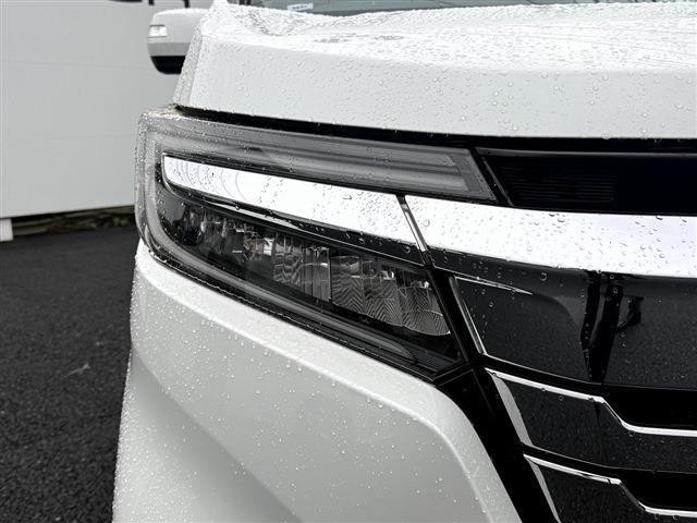 794fe543ac146e2e3682f0771cff2f1a.jpg
