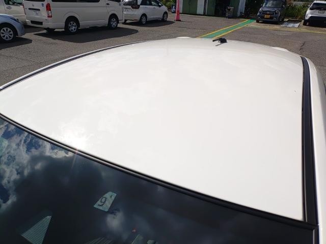 27077538_carP_l_14.jpg