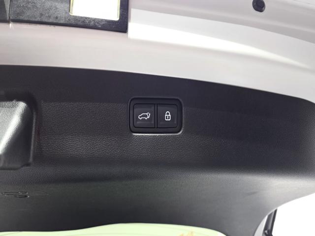 db03de3a271d07e4861488395ab0725e.jpeg