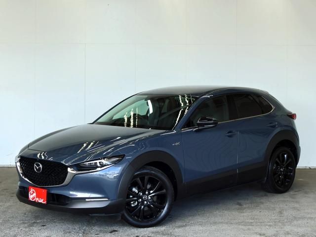 201ff9b44cc847958344717fc8b8e12b.jpg