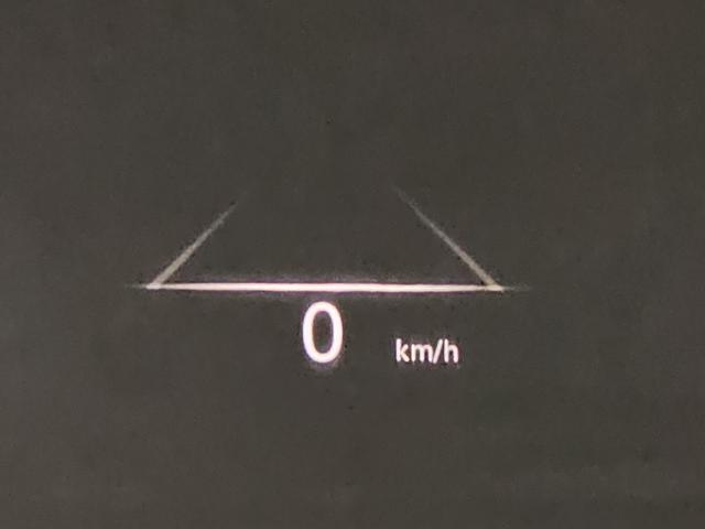 f5510d034741a89273ef3998cf3c9a9d.jpeg