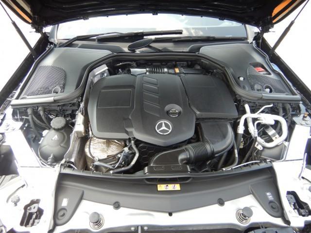 23267331_carP_l_17.jpg