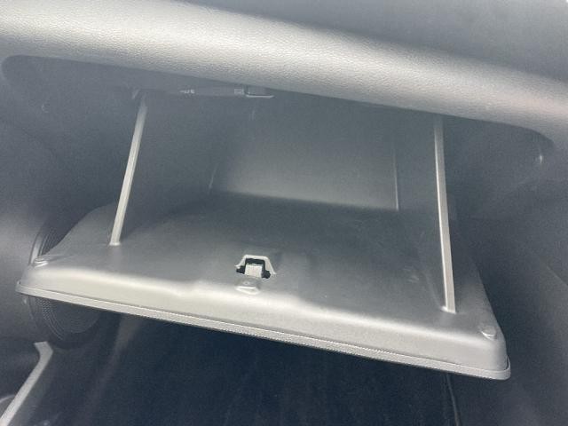 27117359_carP_l_11.jpg