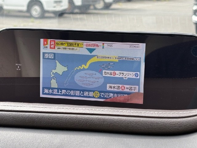 ffc85184c4cd0f889ff195c5e9d881fd.jpeg