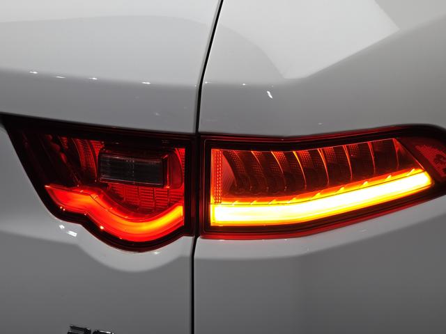 59188ce49daf59ab5405c10d4e5ee74d.jpeg
