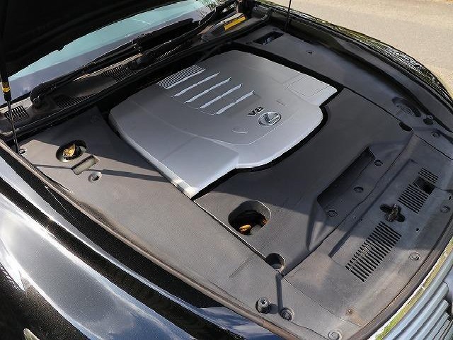 a4f43e19cf6fb52da0186707aa731769.jpg