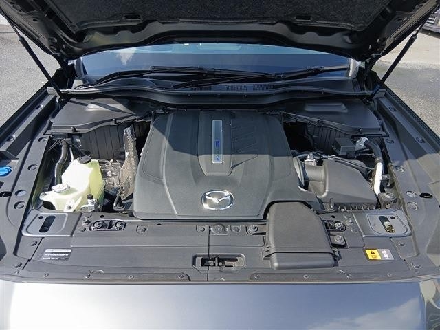 da6180e91cb4d62725317f477b6134c4.jpg