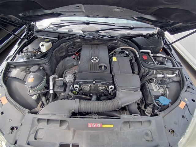 08.jpg