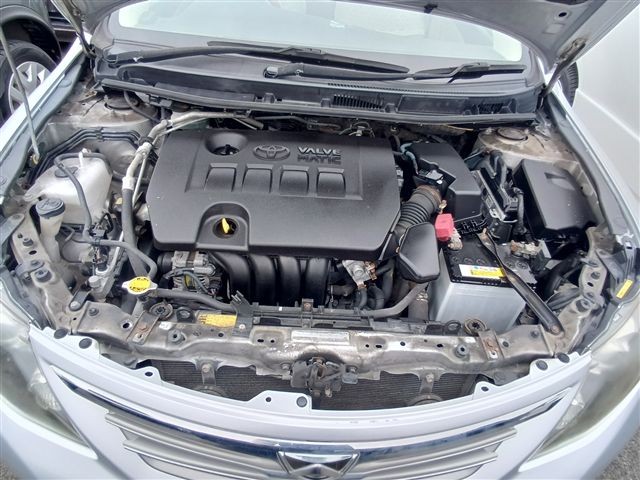 08.jpg