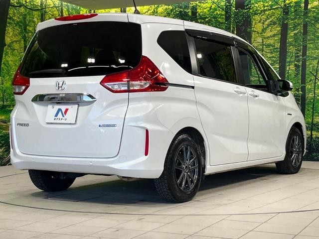 27031966_carP_l_18.jpg