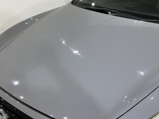 0701248A30260810W00217.jpg