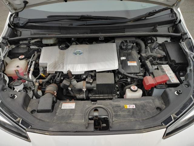83d2f419ef861c6d4025937754a7840f.jpg