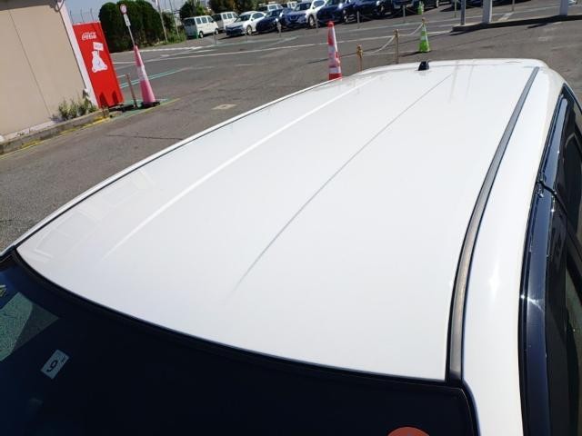 27077518_carP_l_14.jpg