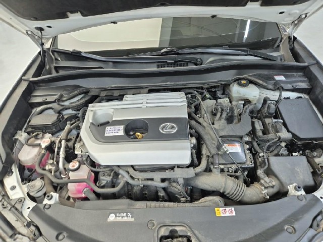 6091500963R5.jpg