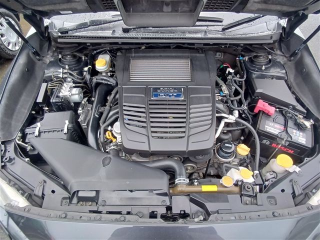 08.jpg