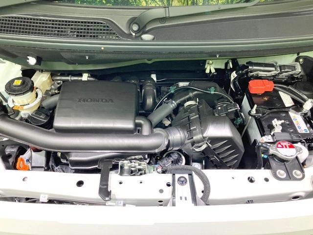 27052200_carP_l_16.jpg