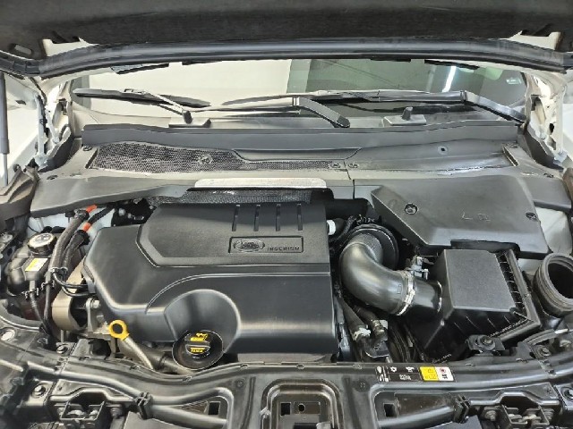 5121501681R5.jpg