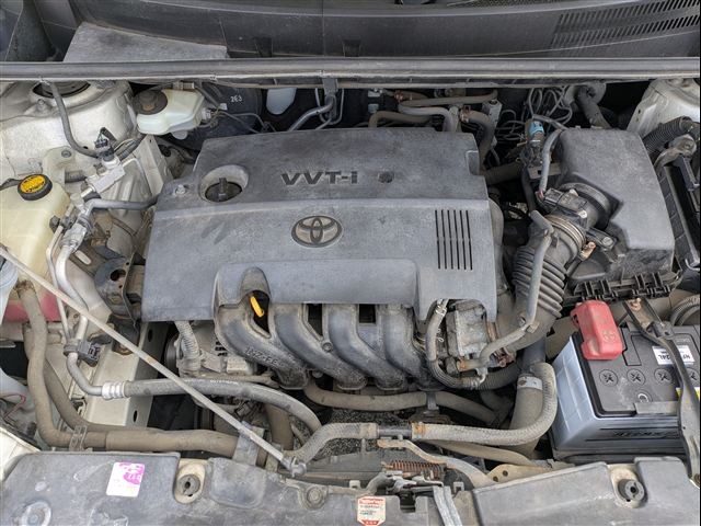 08.jpg