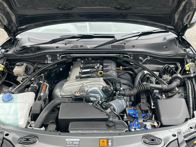 0505296A30251015W00119.jpg
