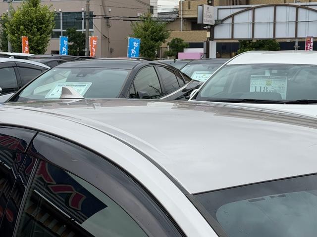 0706195A30260828W00311.jpg