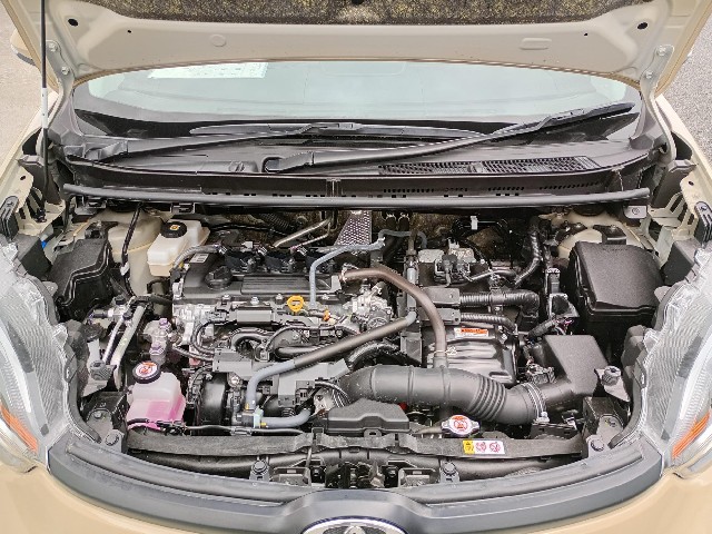 c39118e116fff39a4ed6ae892f1e71c8.jpg
