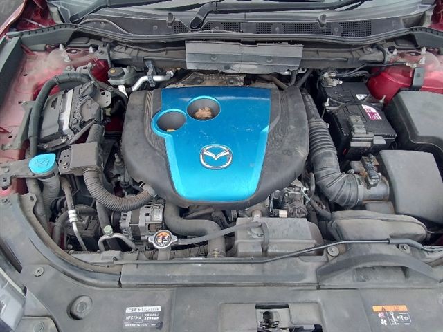 08.jpg
