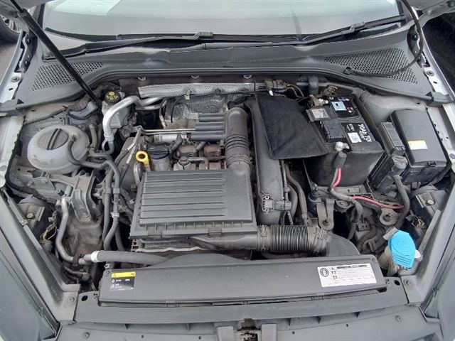 08.jpg