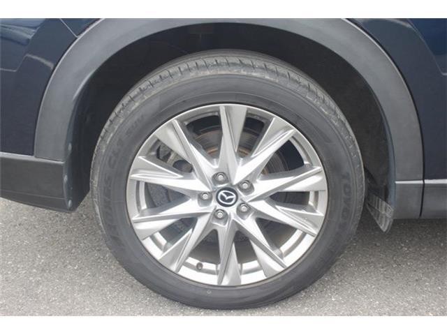 2f213ed5cd749be2f499ac247f07bd79.jpg