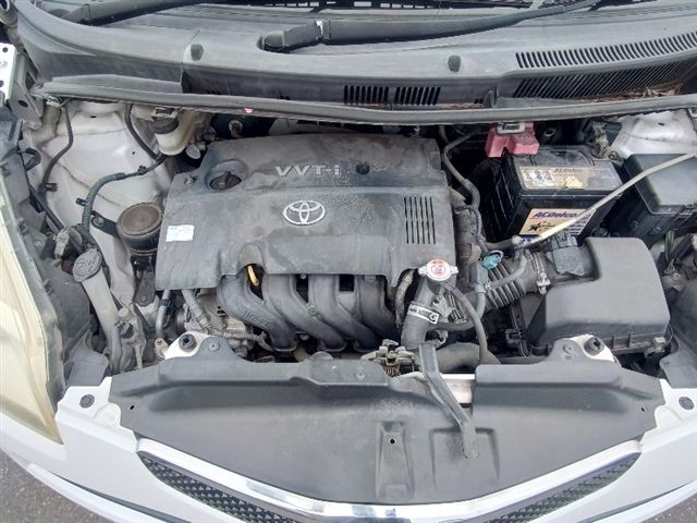 08.jpg