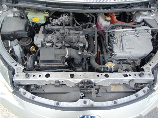 08.jpg