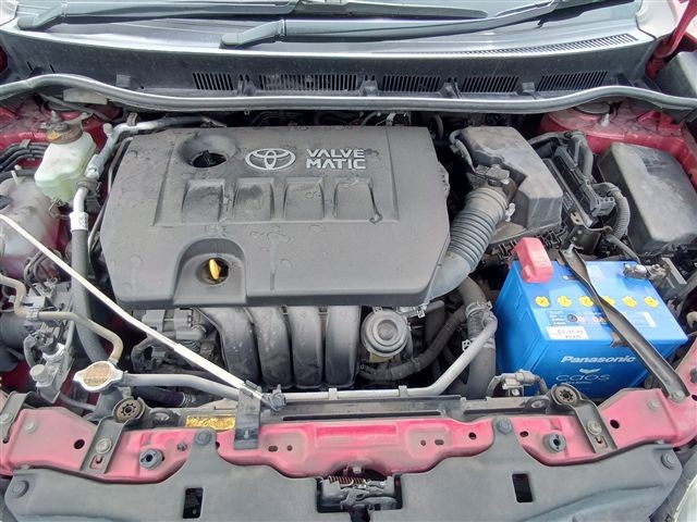 08.jpg