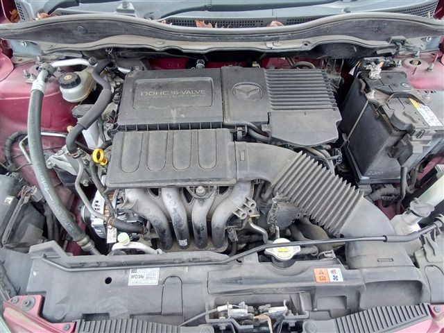 08.jpg