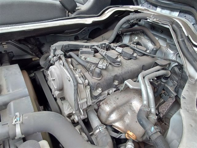 08.jpg