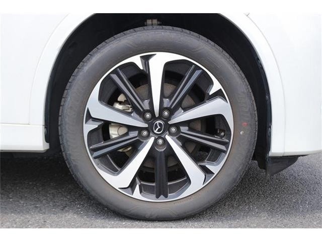 dd655a7103a95e7070f75beb1175ac8f.jpg
