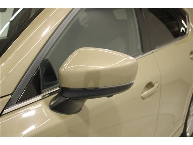 7280aabf7cbda95a59050dec3d7cefa4.jpg