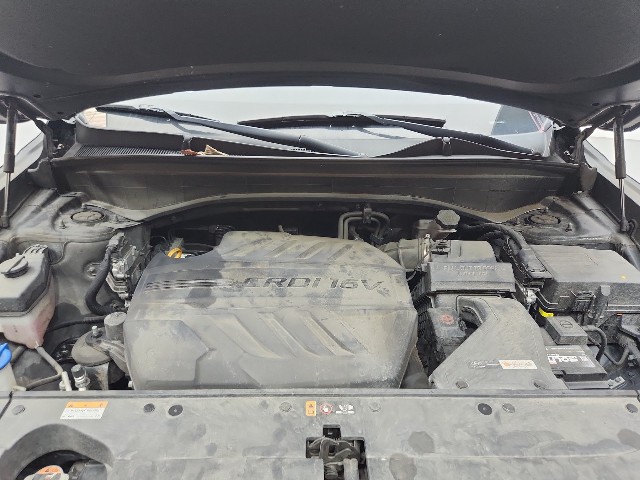 lotterental_104453288_vVe5D_5.jpg