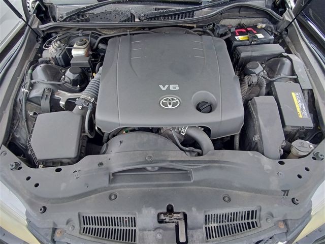 08.jpg