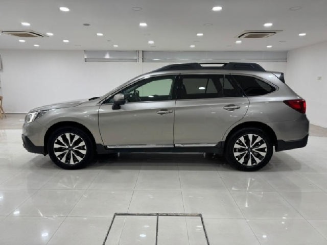 1b1784b55f7c48bcb20591fc8af99c81.jpeg