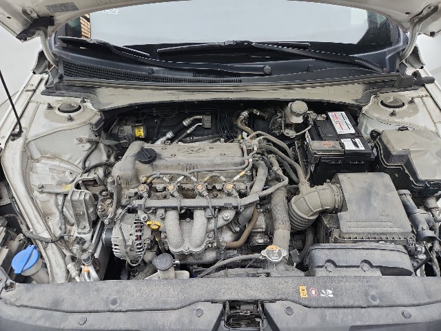 lotterental_150640774_05zzD_6.jpg