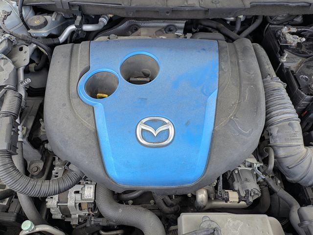 08.jpg