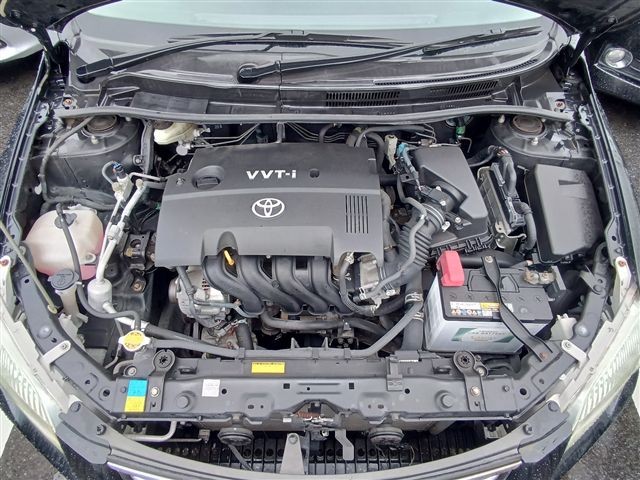 08.jpg