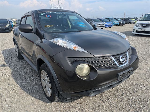 04.jpg