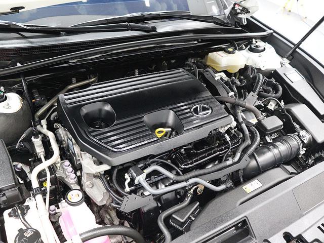 f945b7de83a92388294ff98cc710dfe2.jpeg